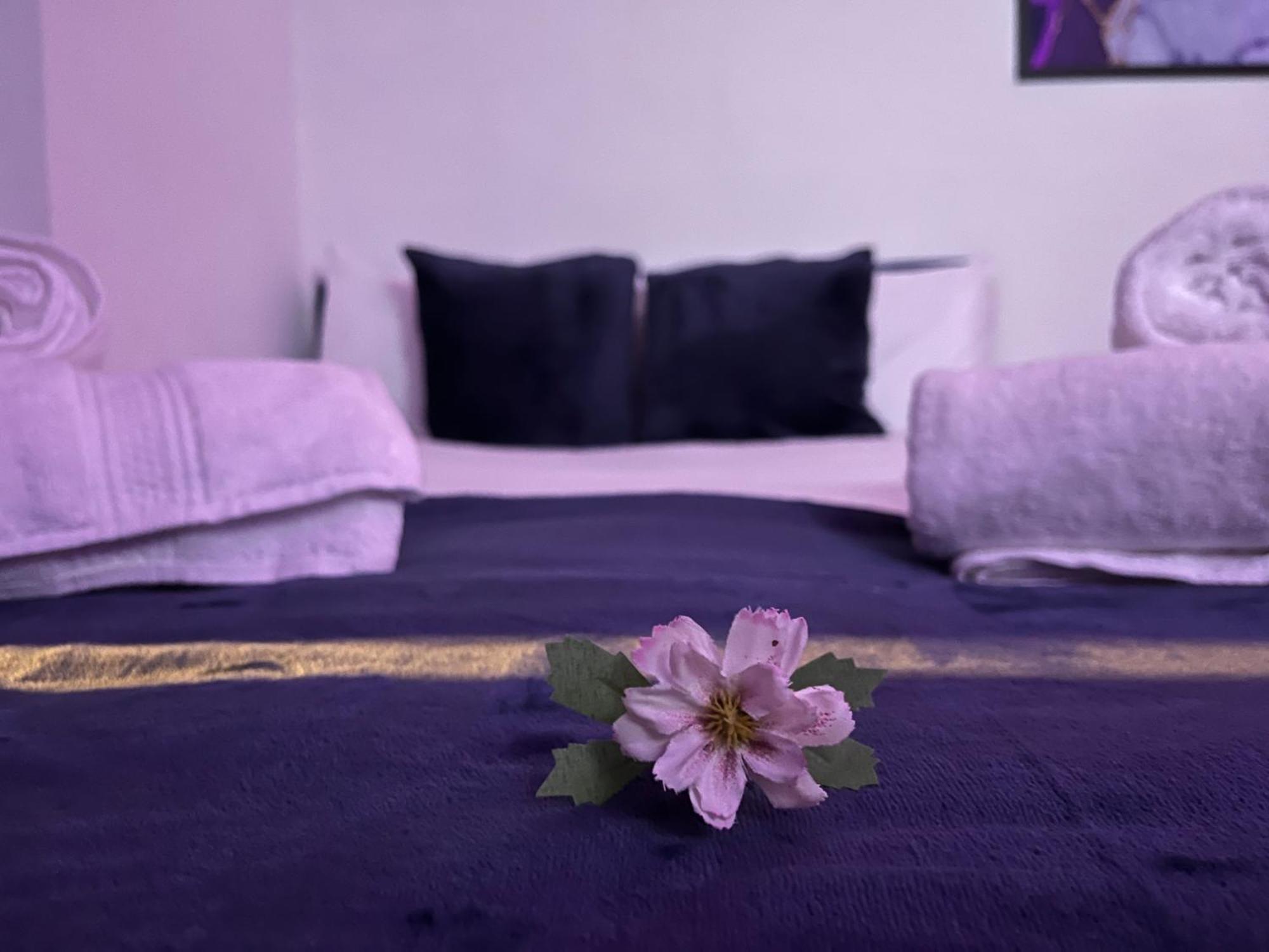 Apartment In Camden, Central Location ロンドン エクステリア 写真